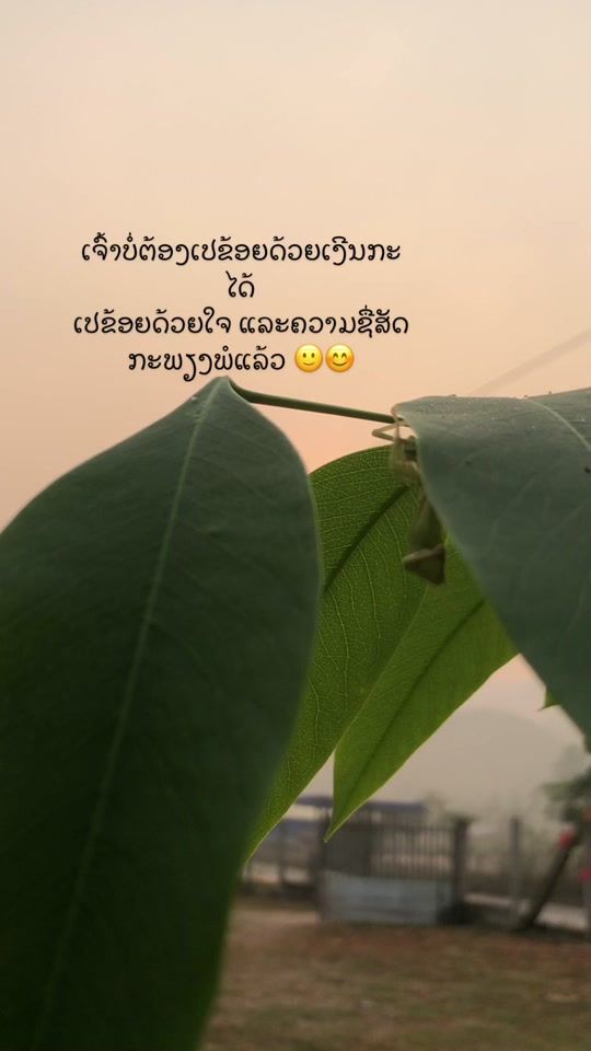 TikTok video thumbnail by non_1042