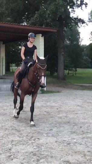 TikTok video thumbnail by _equi_life_