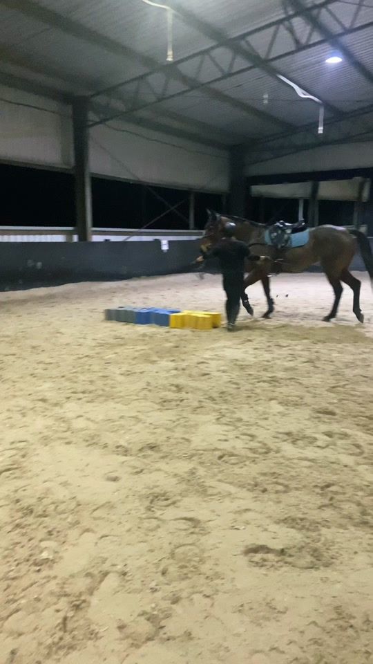 TikTok video thumbnail by cvem.eventing