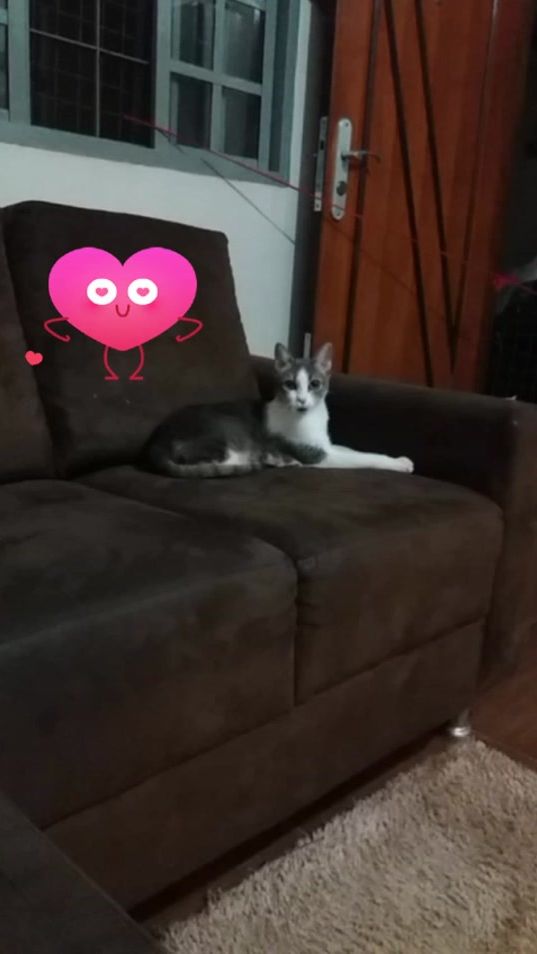 TikTok video thumbnail by raquelmartins51861