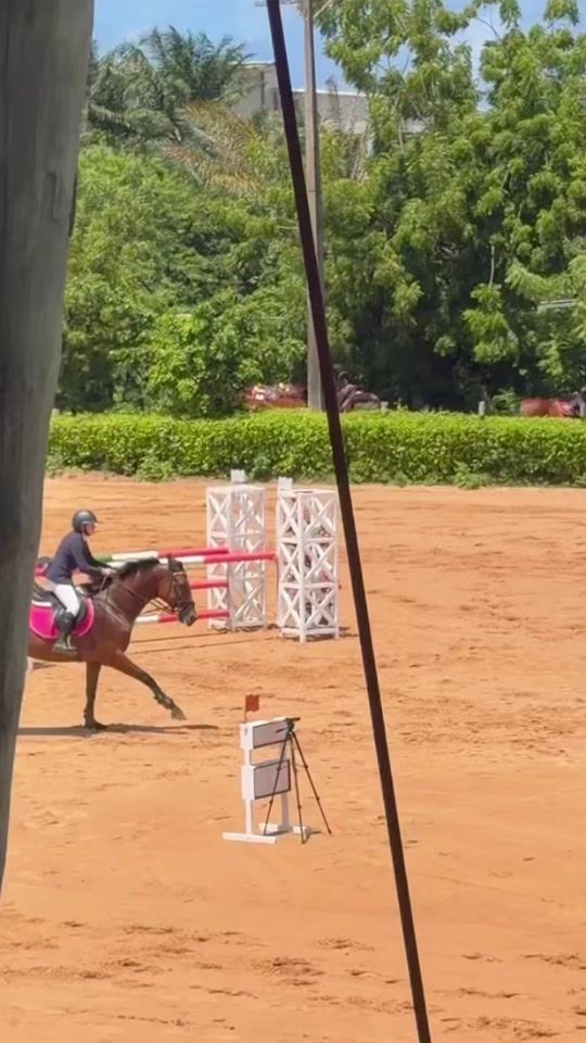 TikTok video thumbnail by equestrian.duda