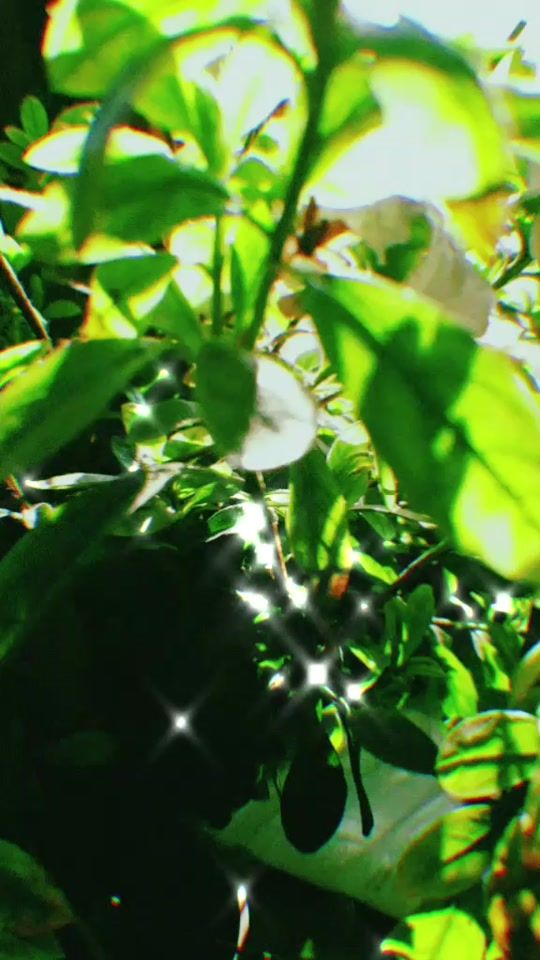 TikTok video thumbnail by beautiful.moon.night