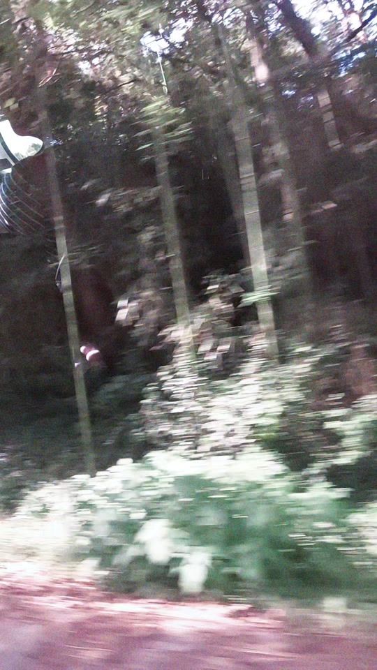 TikTok video thumbnail by user2444816281481