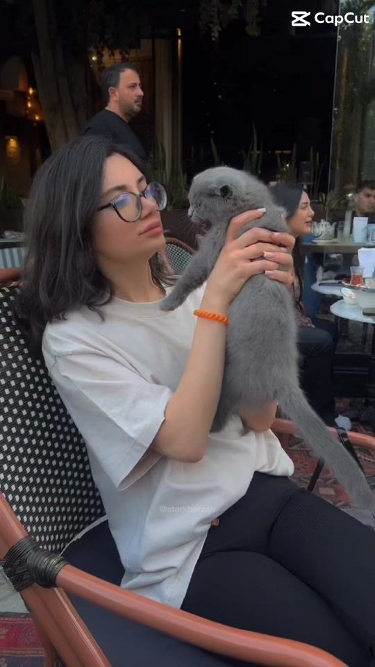 TikTok video thumbnail by xanim_lazer