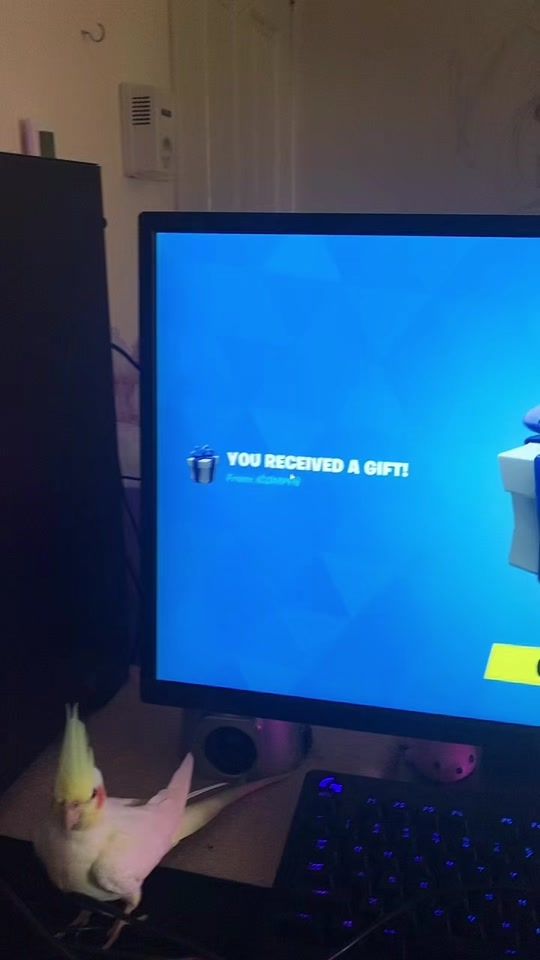 TikTok video thumbnail by _squally_marble_