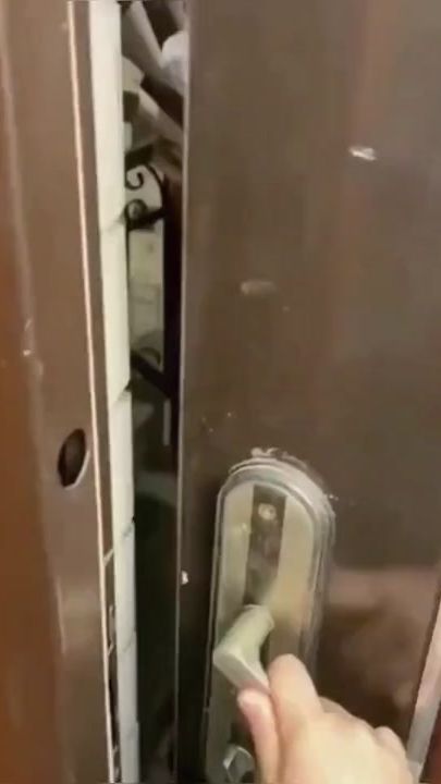 TikTok video thumbnail by your_cutepet