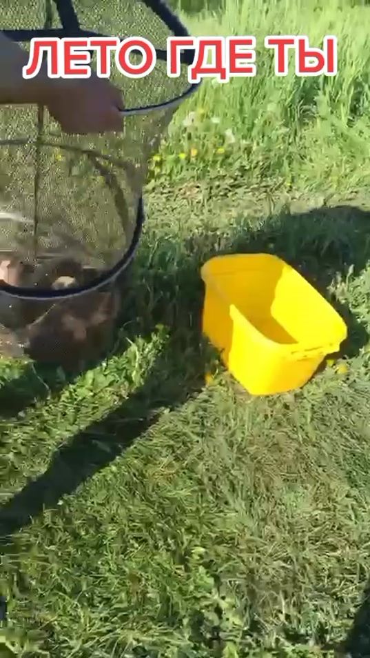 TikTok video thumbnail by starik1957