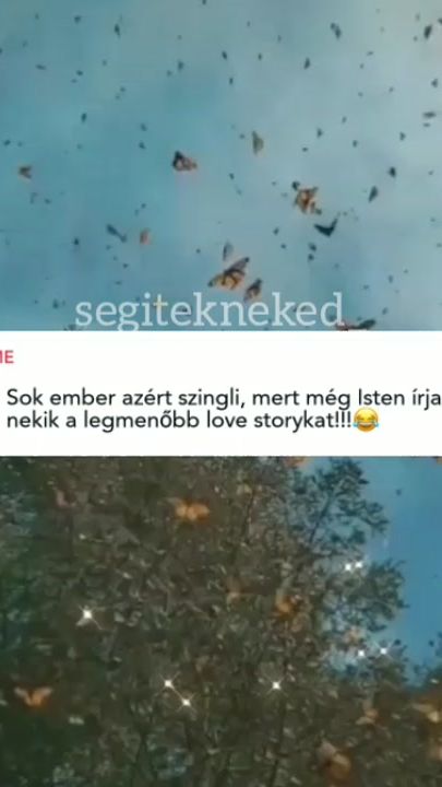 TikTok video thumbnail by .reszeggondolat