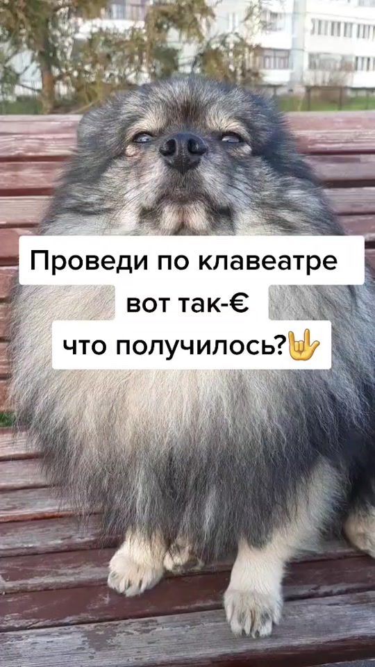 TikTok video thumbnail by spitz.rik