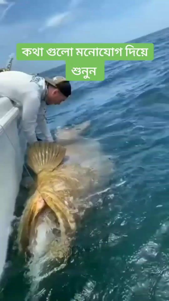 TikTok video thumbnail by crececon_elena
