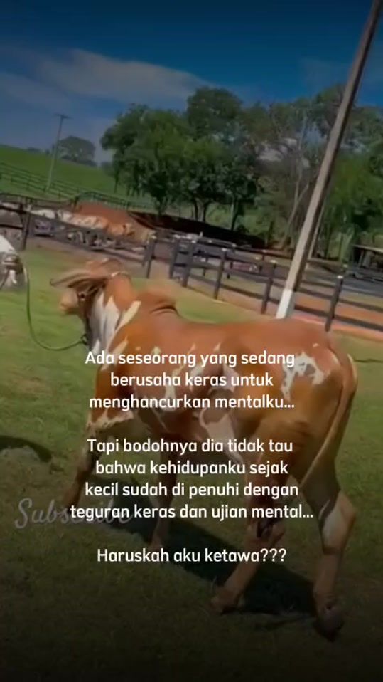 TikTok video thumbnail by amirgarcia69.02