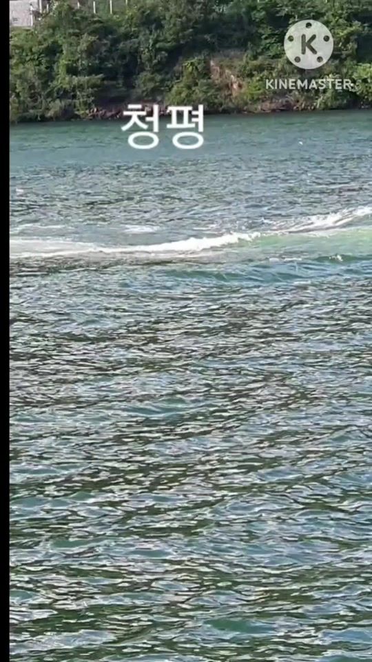 TikTok video thumbnail by kkk111p