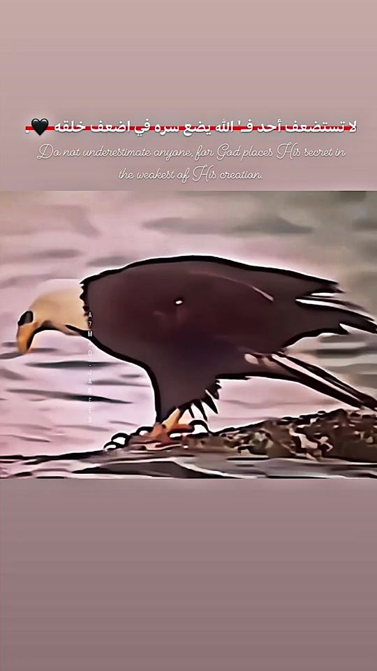 TikTok video thumbnail by m77md.ja