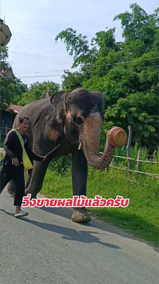 TikTok video thumbnail by thongdee8998