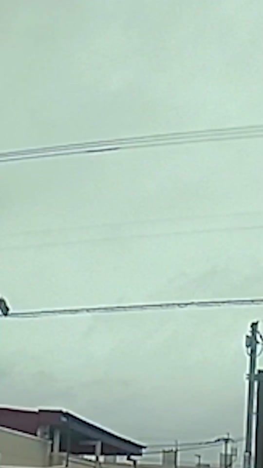 TikTok video thumbnail by world_fancy