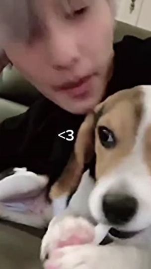 TikTok video thumbnail by xolenoid