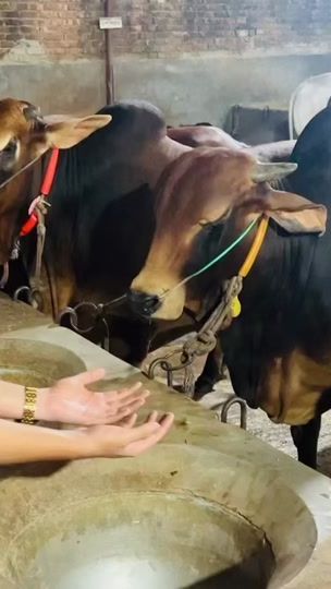 TikTok video thumbnail by mahin_rahman_4