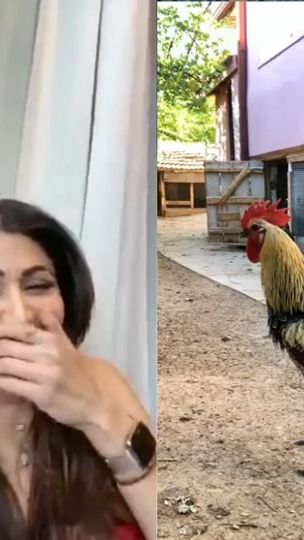 TikTok video thumbnail by hemlalghartimagar