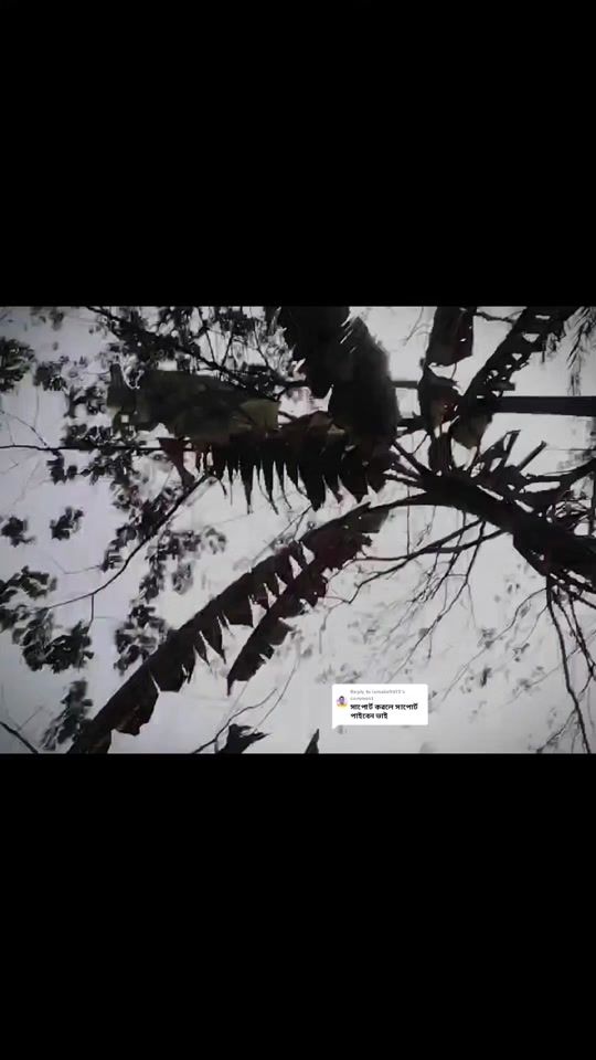 TikTok video thumbnail by mirdha.sojib.ahmed.0
