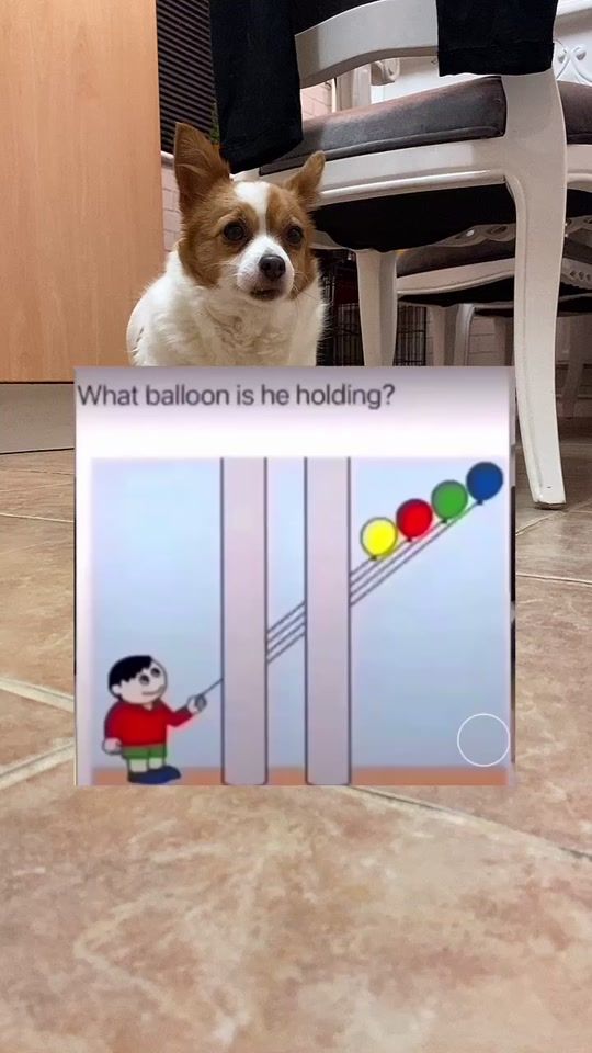 TikTok video thumbnail by daisy.chi