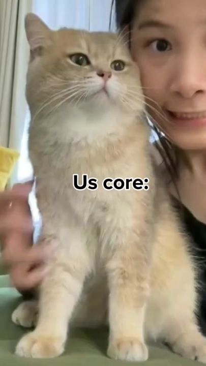 TikTok video thumbnail by lyrkka1112