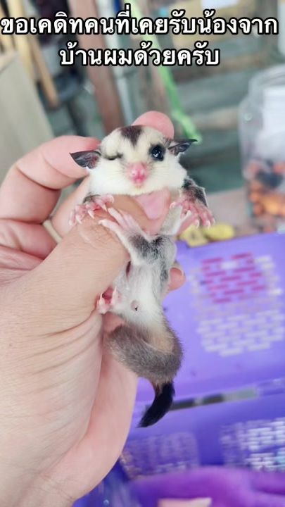 TikTok video thumbnail by namtao2707