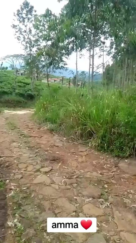 TikTok video thumbnail by mohamedikram9306