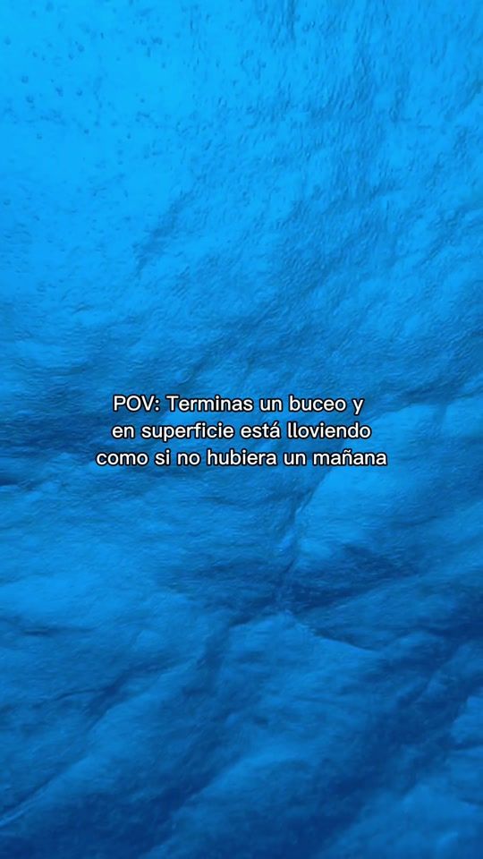 TikTok video thumbnail by mariabarbena