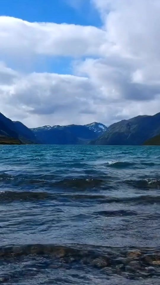 TikTok video thumbnail by www.tiktok.comveta