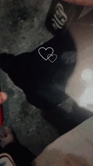 TikTok video thumbnail by nona27922