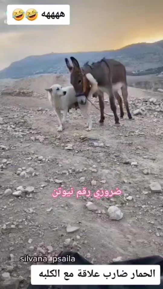 TikTok video thumbnail by 23c9