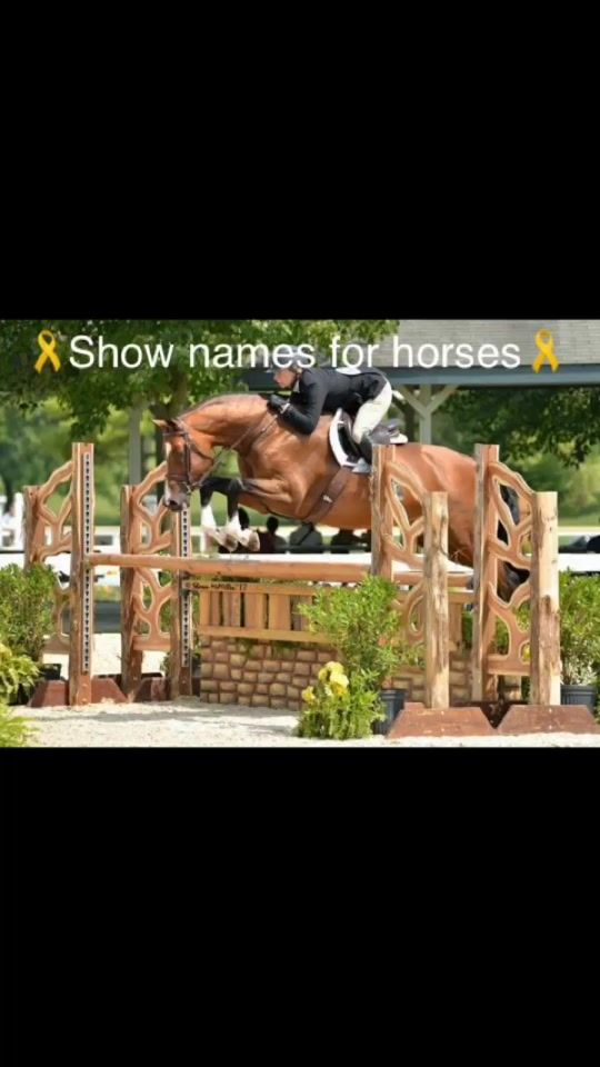 TikTok video thumbnail by namesforhorses