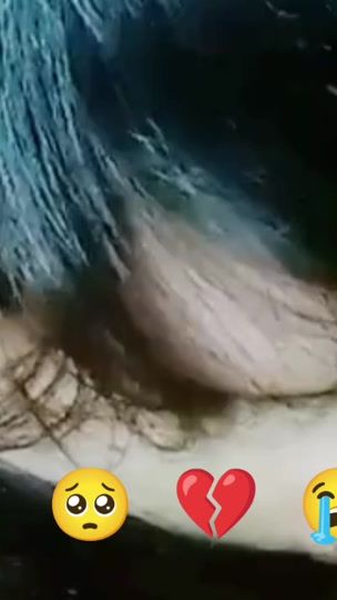 TikTok video thumbnail by chanika8280