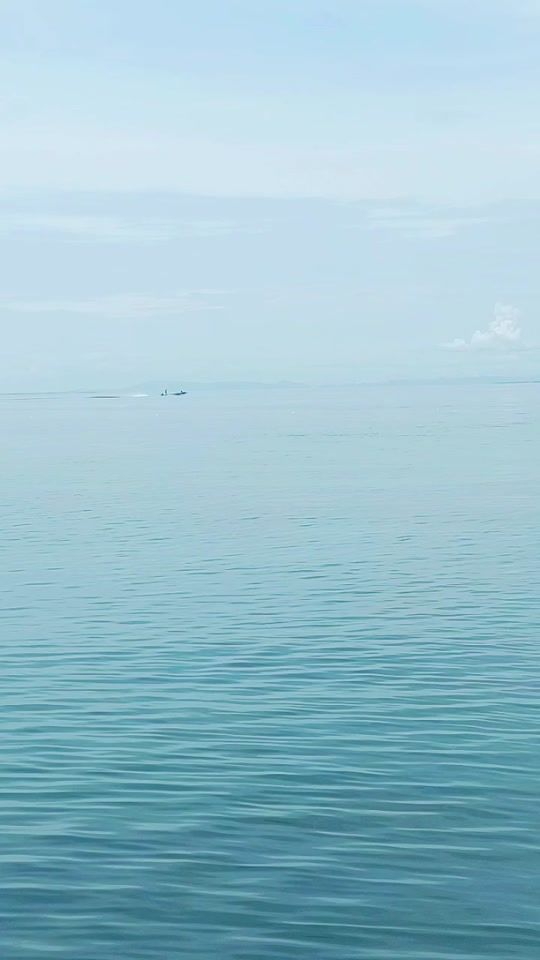 TikTok video thumbnail by bunditwangcharoen