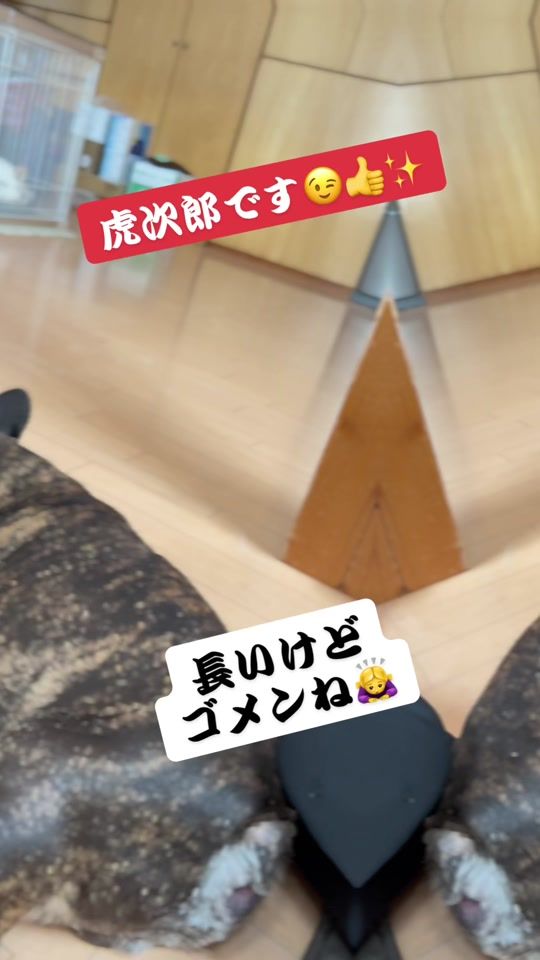 TikTok video thumbnail by kenty1225