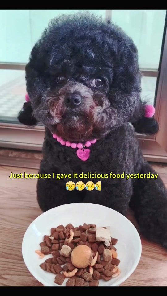 TikTok video thumbnail by cutedog520