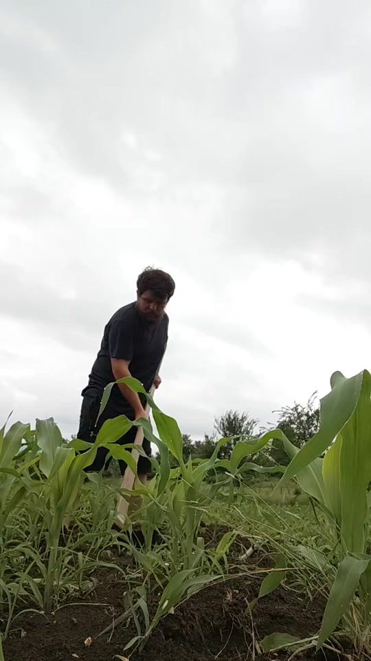 TikTok video thumbnail by jeko_gotsadze