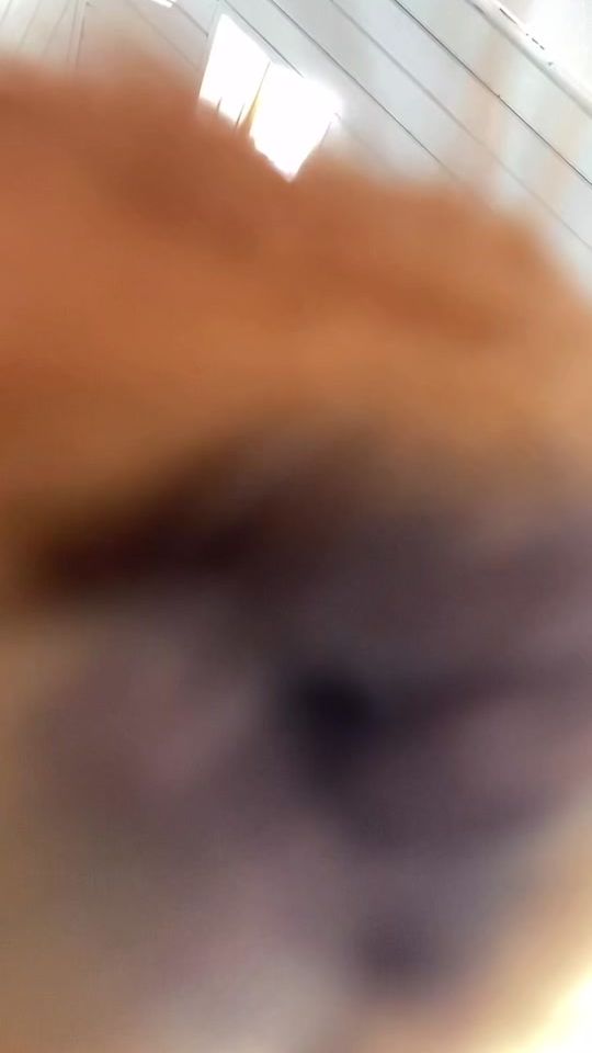 TikTok video thumbnail by rat_home_spb