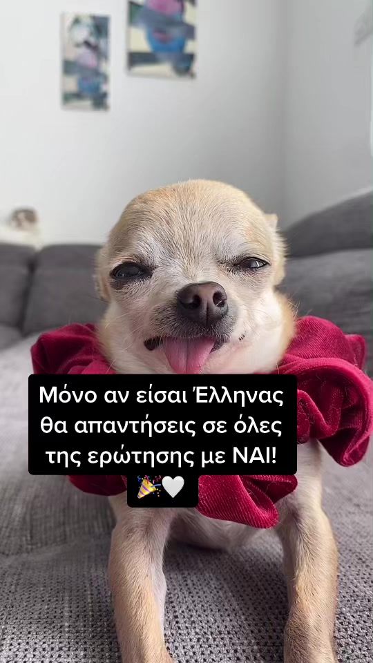 TikTok video thumbnail by chihuahuadiva