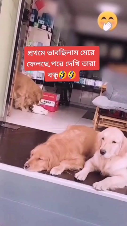 TikTok video thumbnail by its_sihab