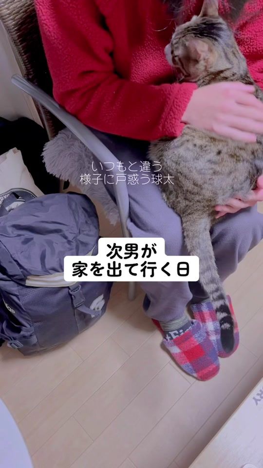 TikTok video thumbnail by kyuta3