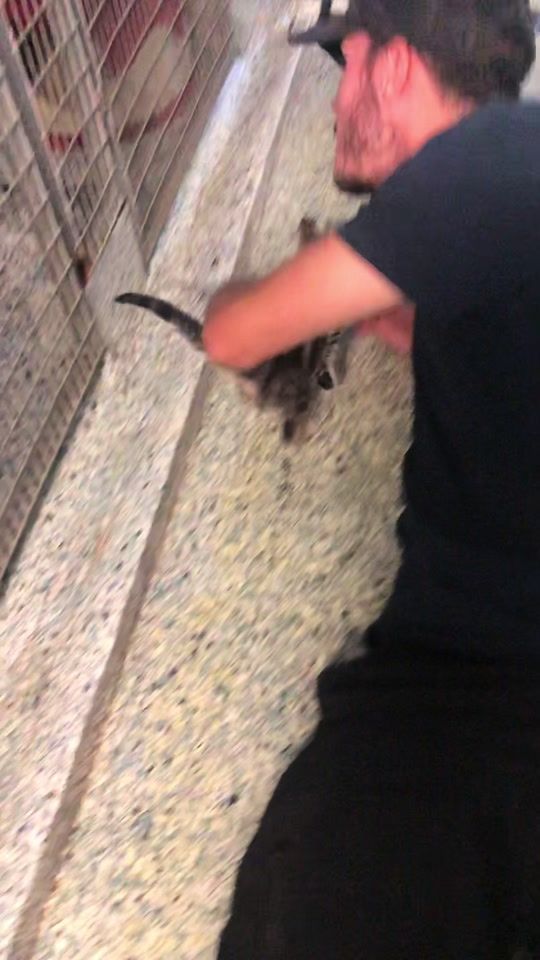 TikTok video thumbnail by siobhan.life