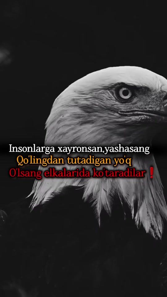 TikTok video thumbnail by jasur_mv