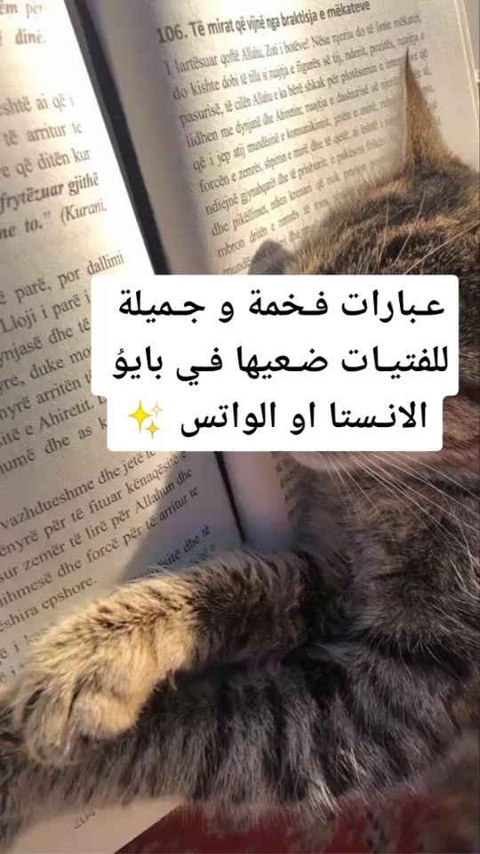 TikTok video thumbnail by taymaa_29
