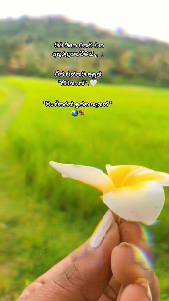TikTok video thumbnail by nethu___s