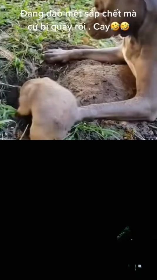 TikTok video thumbnail by monirsahed2
