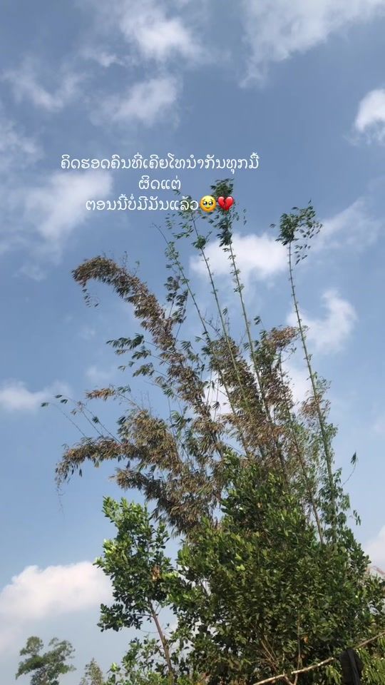 TikTok video thumbnail by oum_542