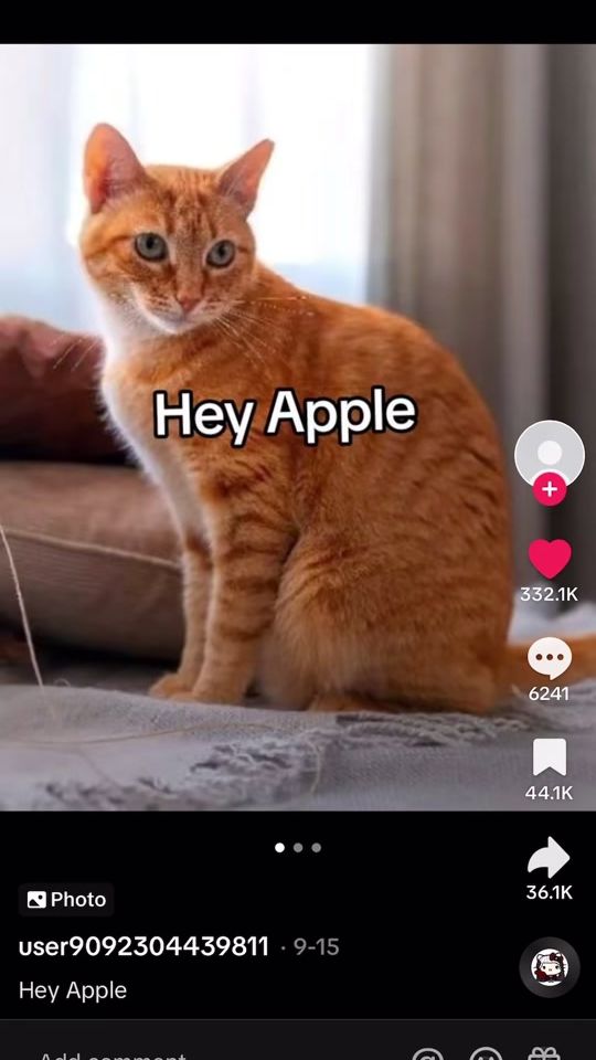 TikTok video thumbnail by user9781818181586