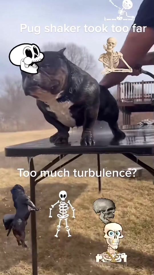 TikTok video thumbnail by funnyplugb