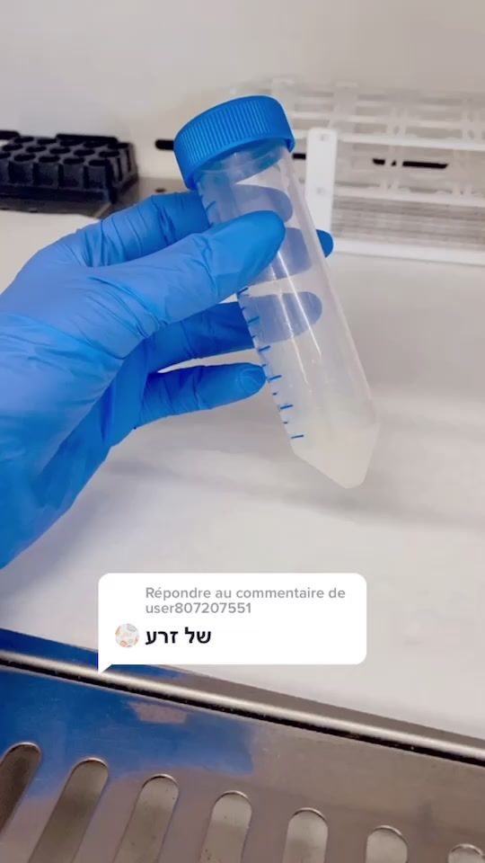 TikTok video thumbnail by labomoto